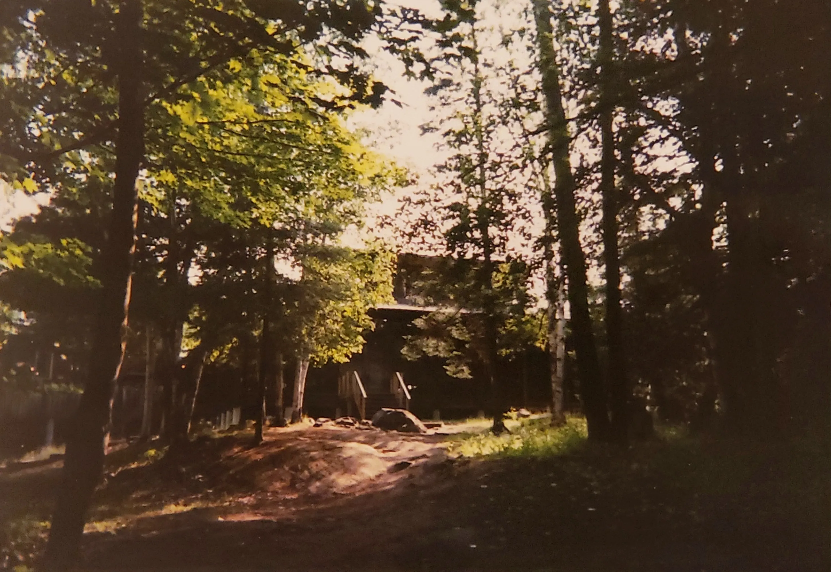 Dining hall surrounded by pines at summer camp