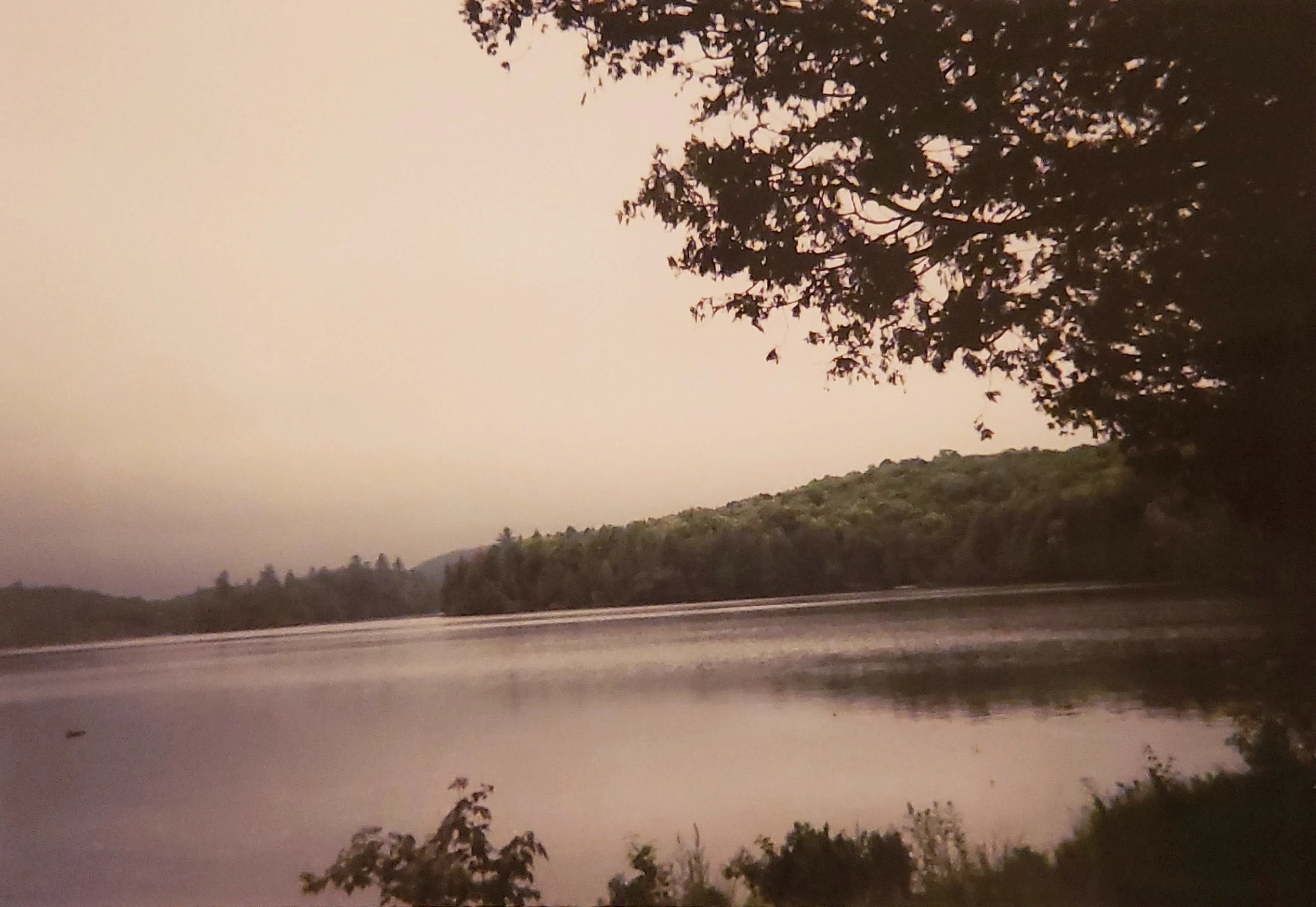 Lake surrounded by pines at summer camp