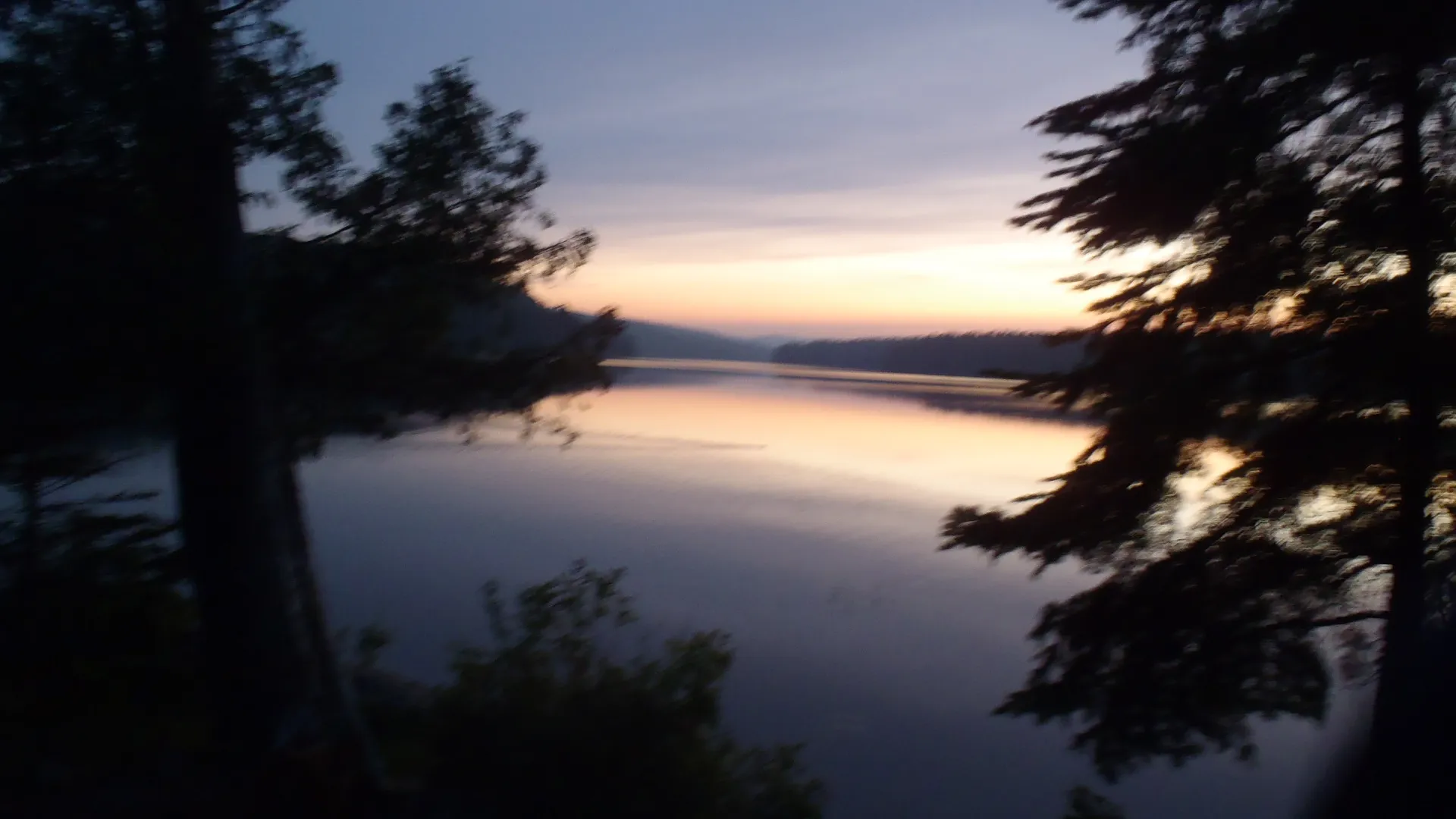 Lake surrounded by pines in Algonquin Provincial Park