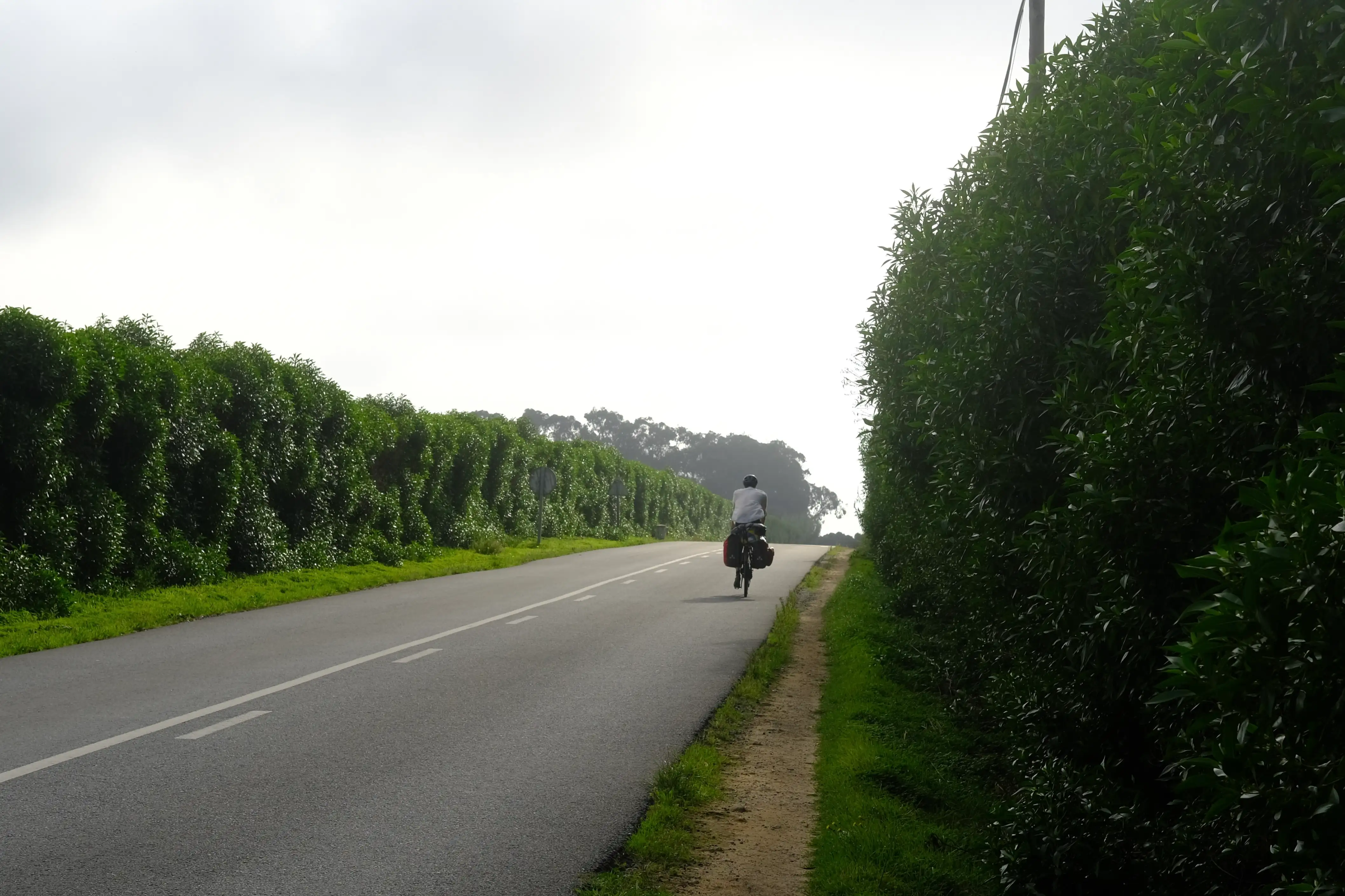 Photo Travel--00010--1c2b4dad-9559-4cce-bf49-872be6fc10f8